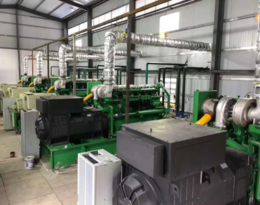 云南某发电项目配米兰平台800kw/10.5kv 高压发电机