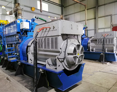 丰都甘泰沼气发电项目配米兰平台2台850KW/10.5KV6极高压发电机