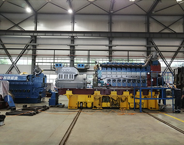 贵州省盘州红达瓦斯电站项目配4台米兰平台6极高压1550KW/10.5KV