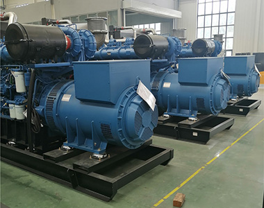 米兰平台800KW/400V陆用发电机应用于某养殖场项目
