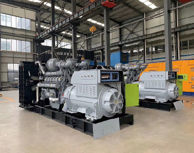 欧洲出口项目（帕金斯配米兰平台2台1250KW6300V高压发电机)
